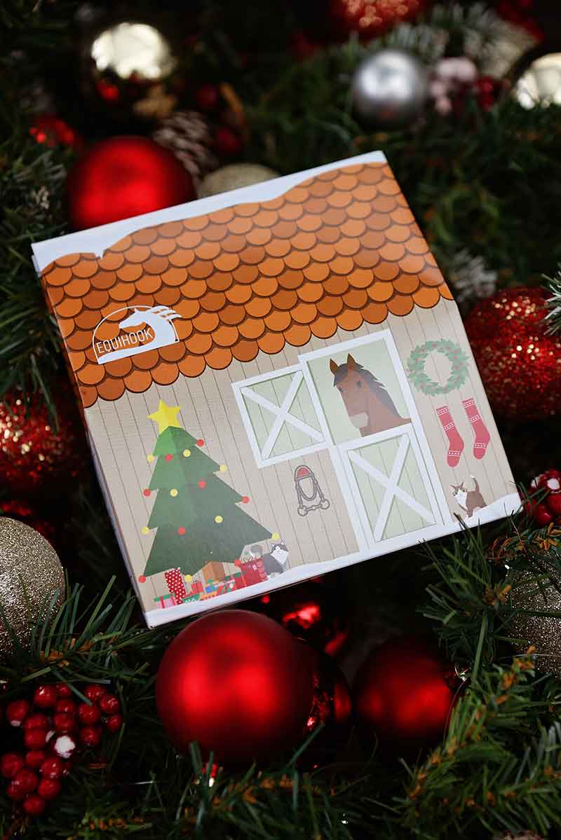EquiHook Christmas Gift Box - Image 3