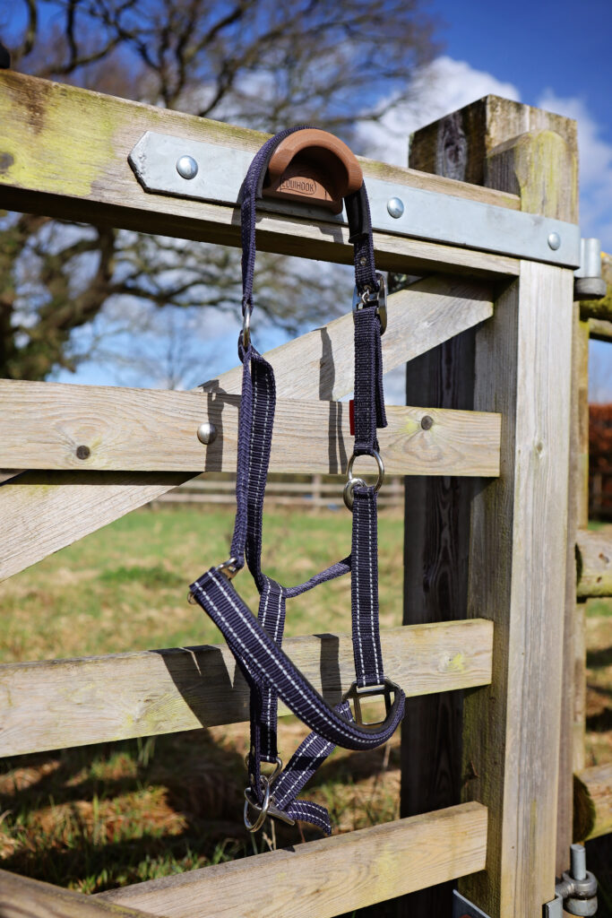 magnetic bridle hook on gate