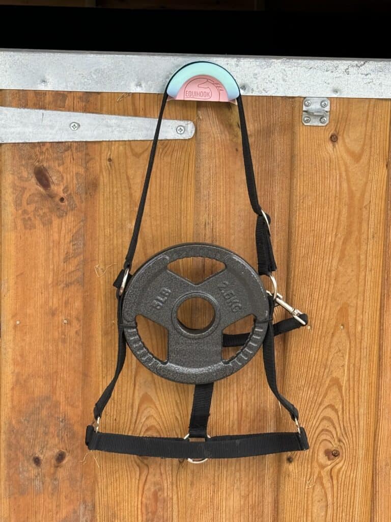 magnetic bridle hook