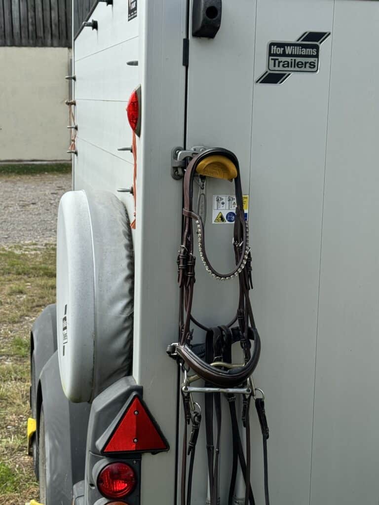 magnetic bridle hook on horse trailer